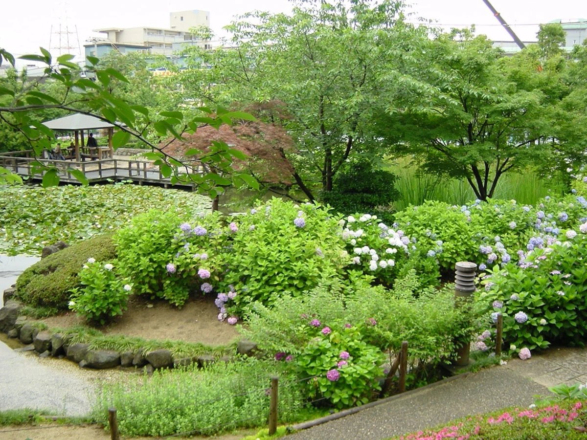 🌳 모토하마 녹지(元浜緑地) 이미지 1